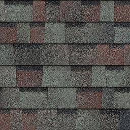 TruDefinition® Duration® Shingles